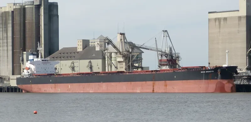 STAR KAMILA Bulk Carrier IMO 9285043