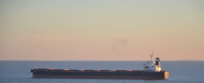STAR KAMILA Bulk Carrier IMO 9285043 photo 3