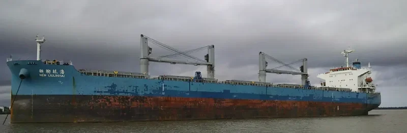 NEW LIULINHAI Bulk Carrier IMO 9285108 photo 4
