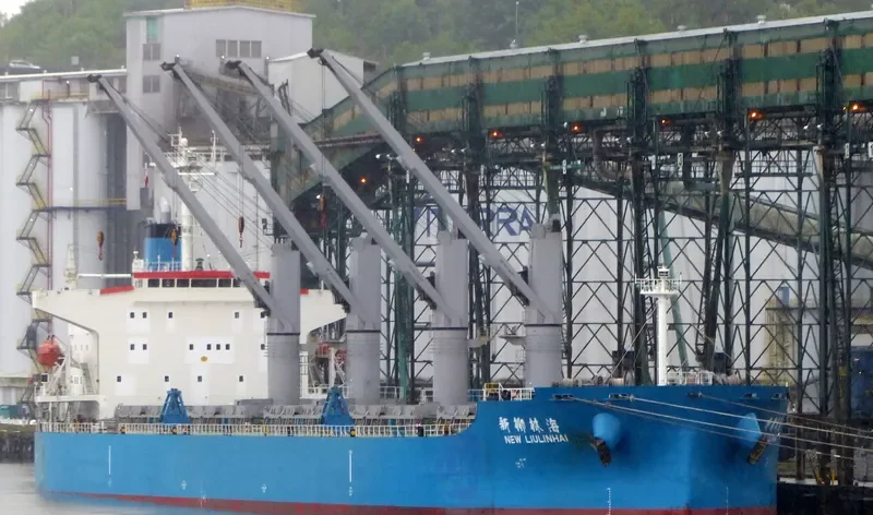 NEW LIULINHAI Bulk Carrier IMO 9285108 photo 6