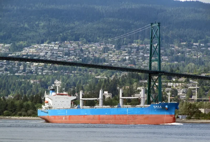NEW LIULINHAI Bulk Carrier IMO 9285108 photo 9