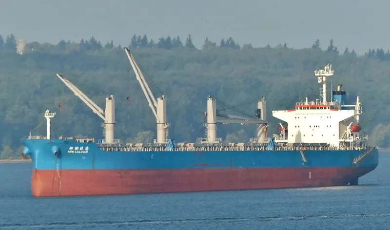 NEW LIULINHAI Bulk Carrier IMO 9285108 photo 10