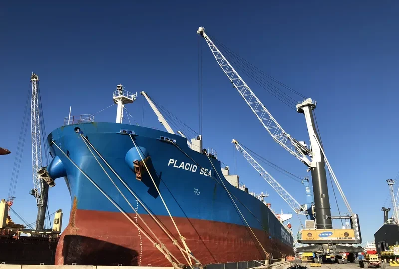 PLACID SEA Bulk Carrier IMO 9285110