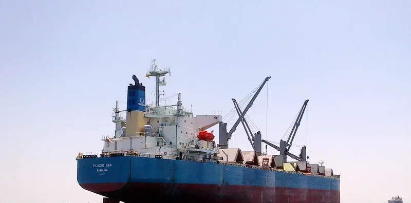 PLACID SEA Bulk Carrier IMO 9285110 photo 3