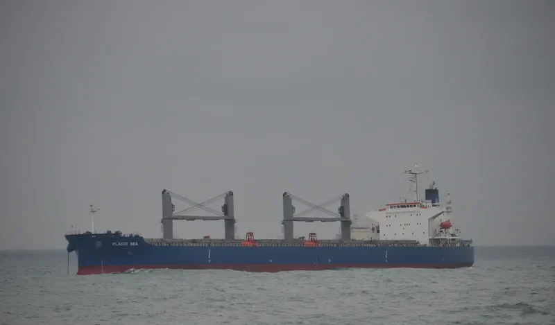 PLACID SEA Bulk Carrier IMO 9285110 photo 4