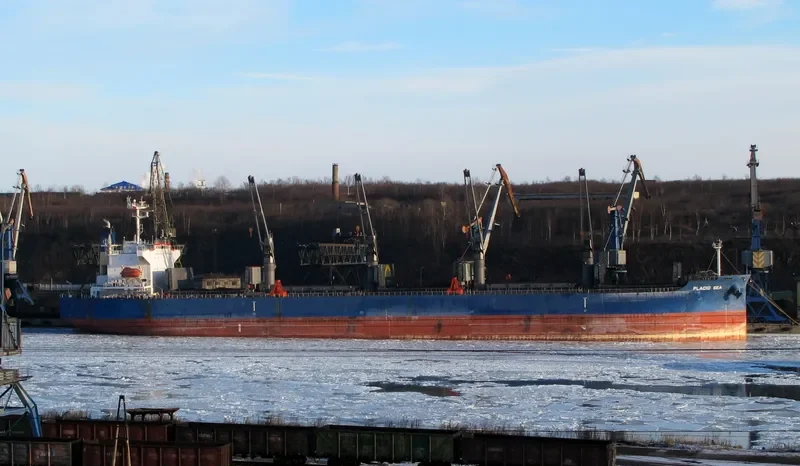 PLACID SEA Bulk Carrier IMO 9285110 photo 6