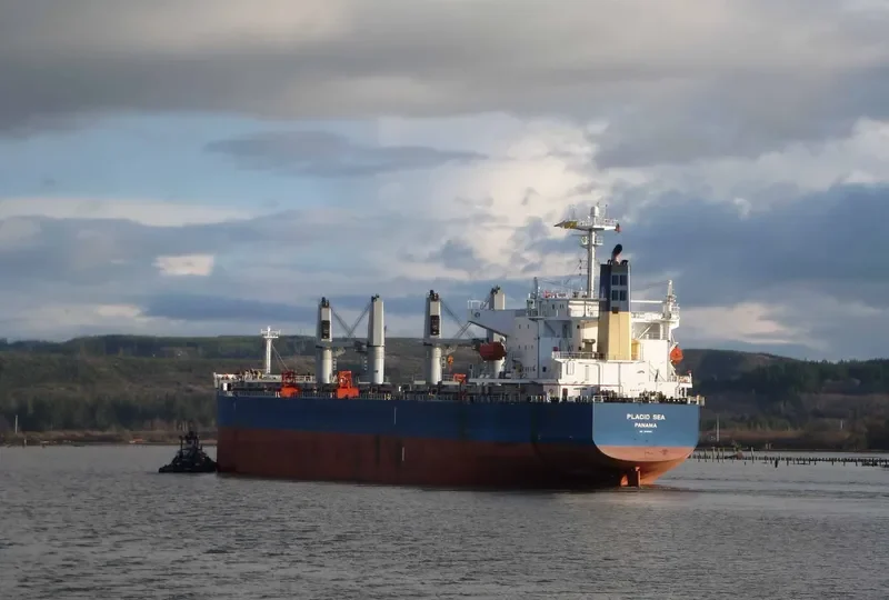 PLACID SEA Bulk Carrier IMO 9285110 photo 8