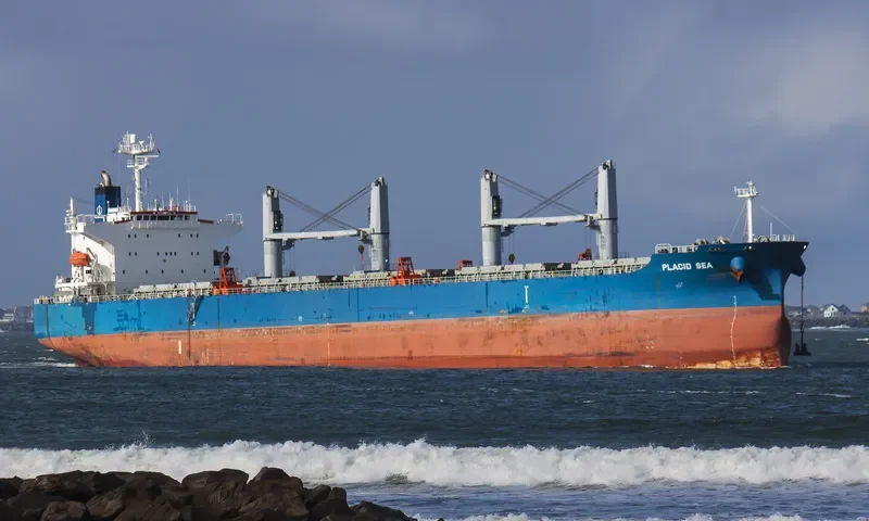 PLACID SEA Bulk Carrier IMO 9285110 photo 10