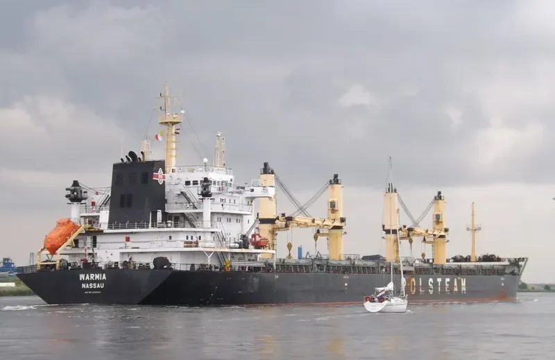 WARMIA Bulk Carrier IMO 9285146 photo 9