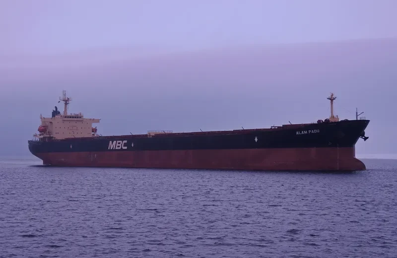 WOOYANG VENUS Bulk Carrier IMO 9285158