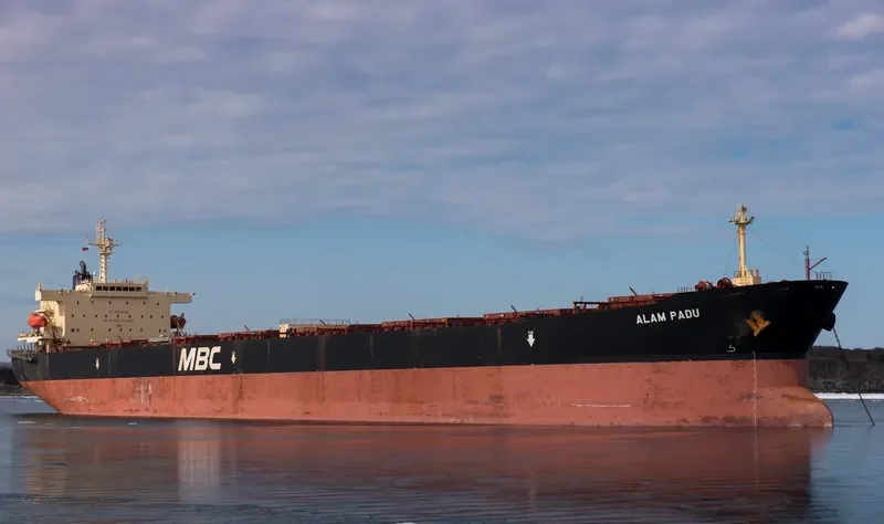 WOOYANG VENUS Bulk Carrier IMO 9285158 photo 2