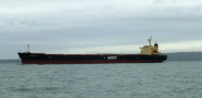WOOYANG VENUS Bulk Carrier IMO 9285158 photo 7