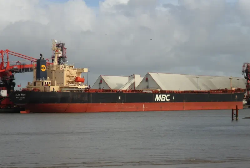 WOOYANG VENUS Bulk Carrier IMO 9285158 photo 8