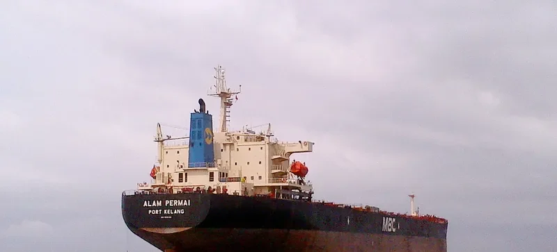 URMILA Bulk Carrier IMO 9285160 photo 3
