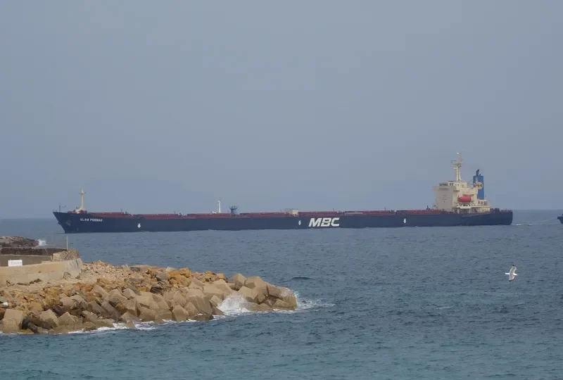 URMILA Bulk Carrier IMO 9285160 photo 8