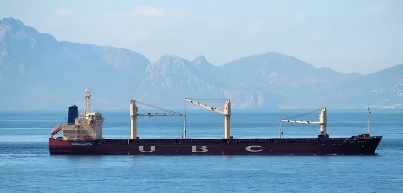 UBC TAMPICO General Cargo IMO 9285354 photo 6