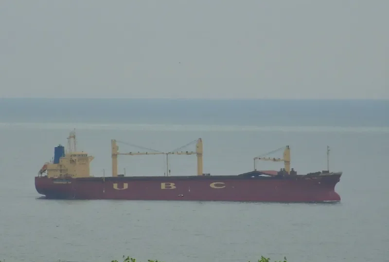 UBC TAMPICO General Cargo IMO 9285354 photo 7