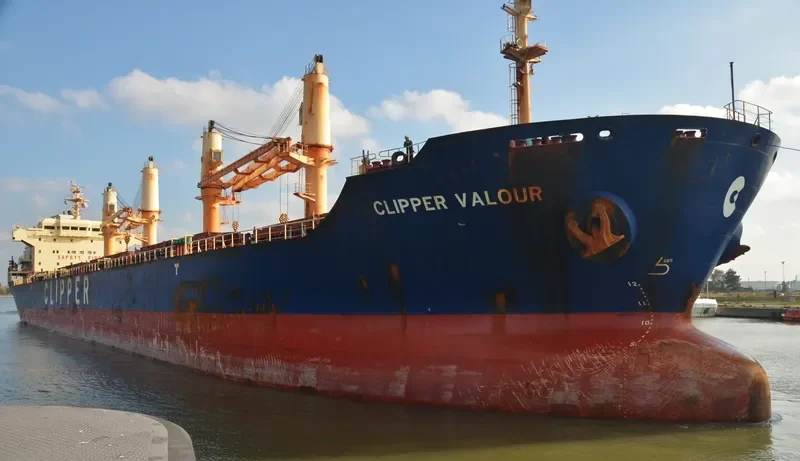 TULPAR Bulk Carrier IMO 9285407 photo 2