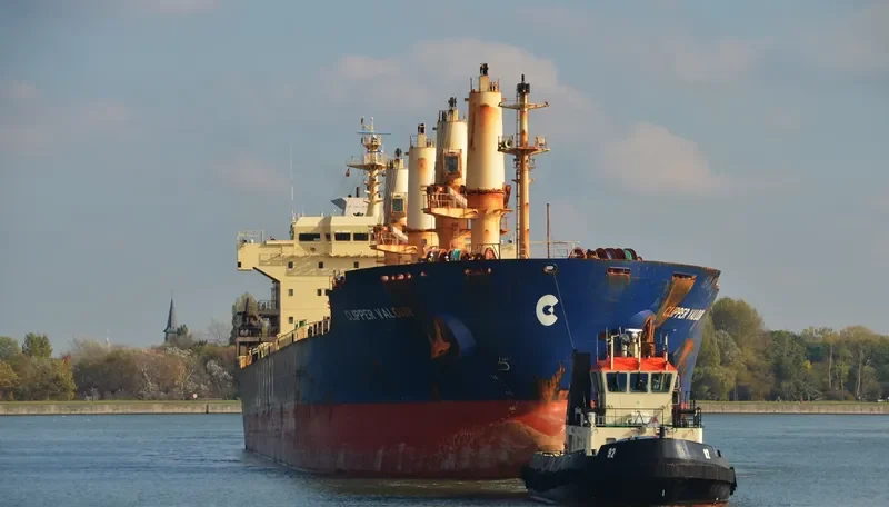 TULPAR Bulk Carrier IMO 9285407 photo 3