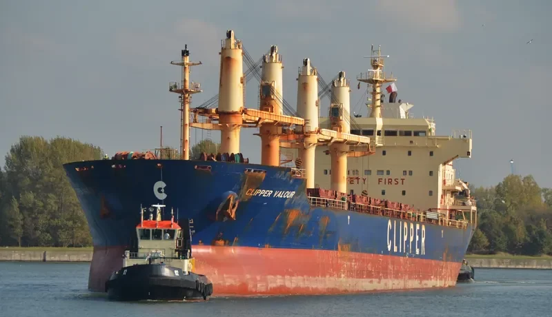 TULPAR Bulk Carrier IMO 9285407 photo 4