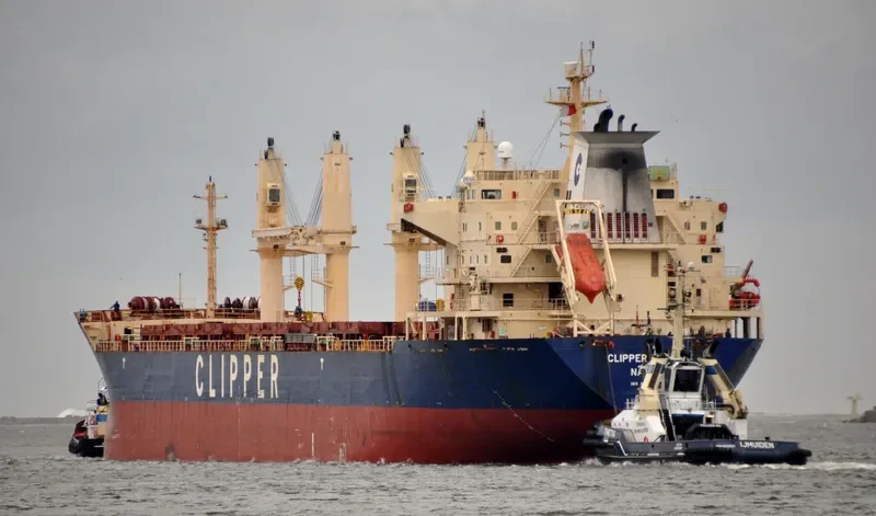 TULPAR Bulk Carrier IMO 9285407 photo 7