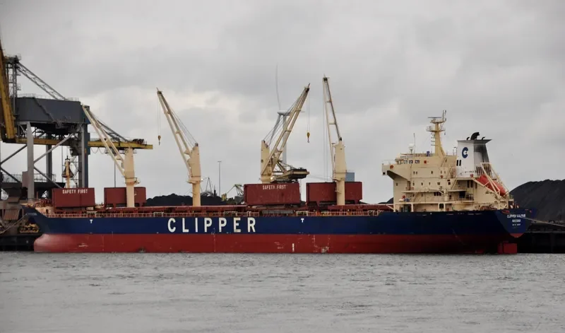 TULPAR Bulk Carrier IMO 9285407 photo 8