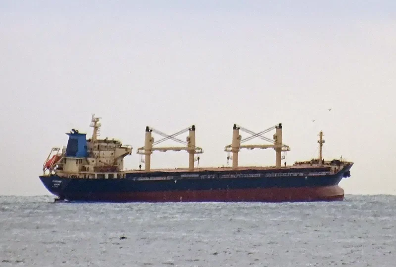 RIZIK BEY Bulk Carrier IMO 9285419