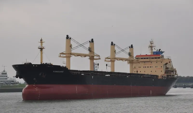 RIZIK BEY Bulk Carrier IMO 9285419 photo 2