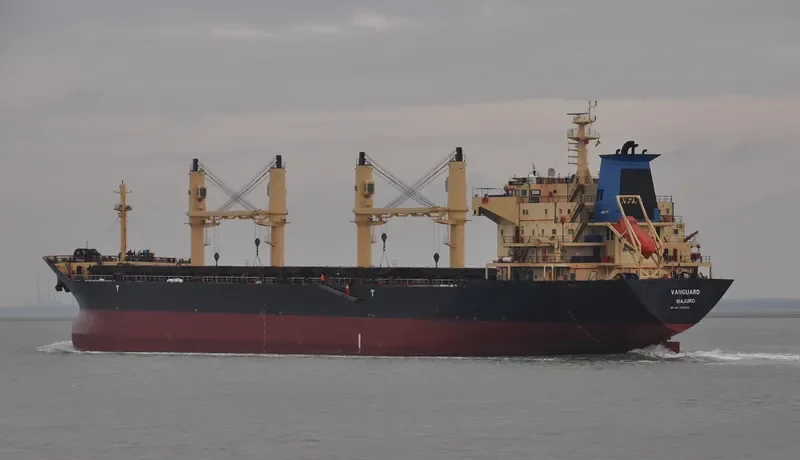 RIZIK BEY Bulk Carrier IMO 9285419 photo 3