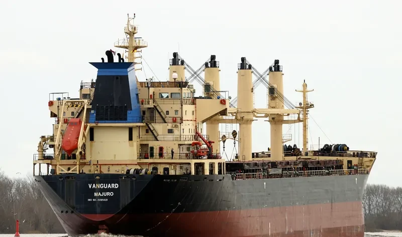 RIZIK BEY Bulk Carrier IMO 9285419 photo 5
