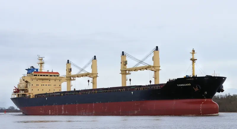 RIZIK BEY Bulk Carrier IMO 9285419 photo 7