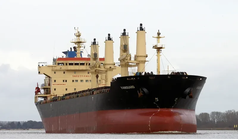RIZIK BEY Bulk Carrier IMO 9285419 photo 8