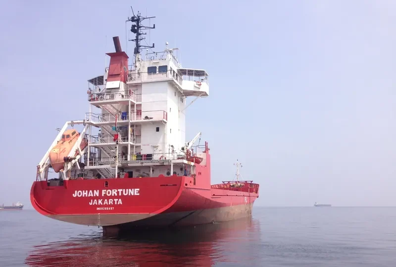 JOHAN FORTUNE General Cargo IMO 9285457