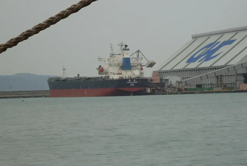 PAN ELDORADO Bulk Carrier IMO 9285550 photo 8