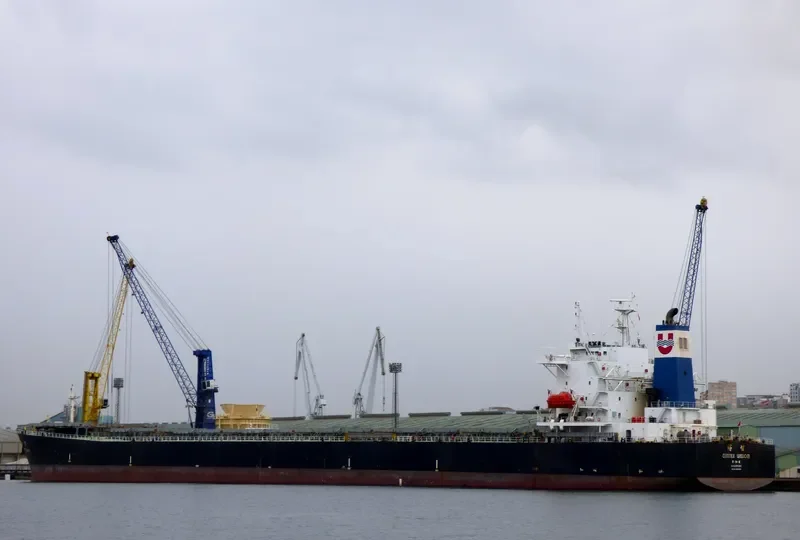 BROAD RICH Bulk Carrier IMO 9285562
