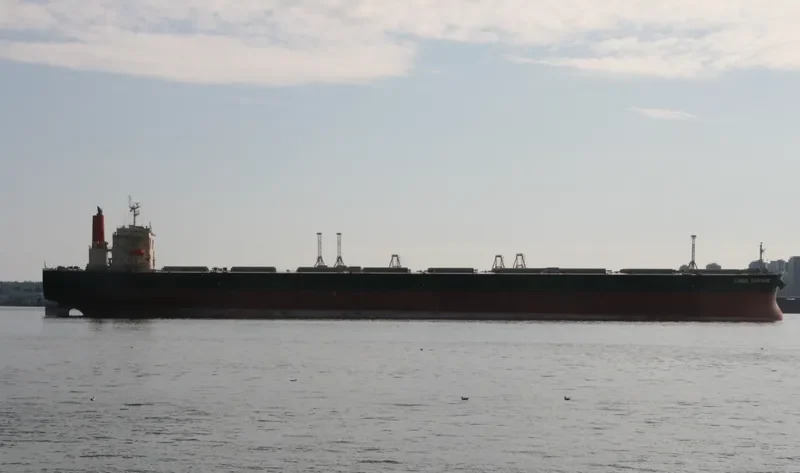 BROAD RICH Bulk Carrier IMO 9285562 photo 3