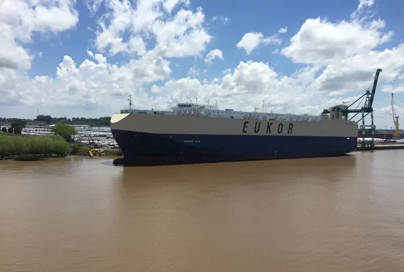 MORNING CALM General Cargo IMO 9285615
