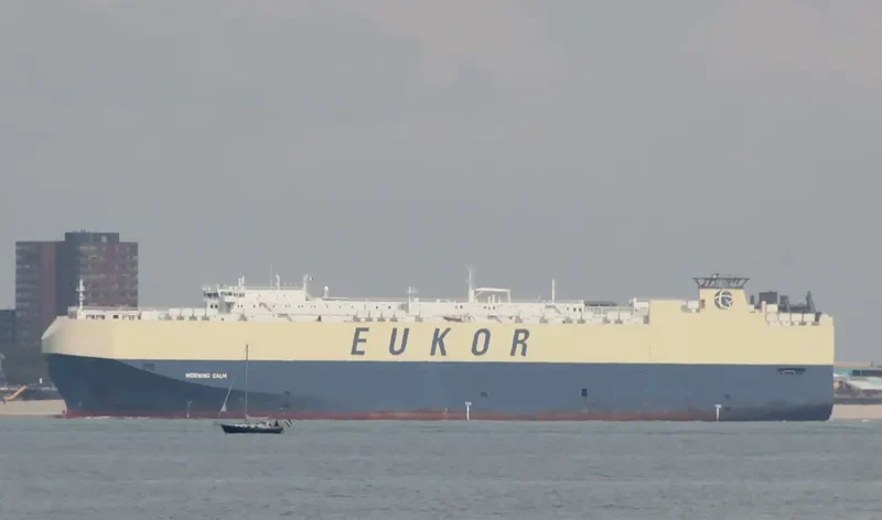 MORNING CALM General Cargo IMO 9285615 photo 8