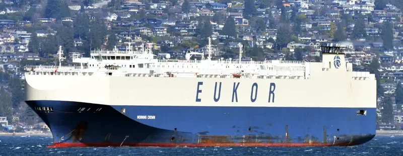 MORNING CROWN General Cargo IMO 9285641 photo 9