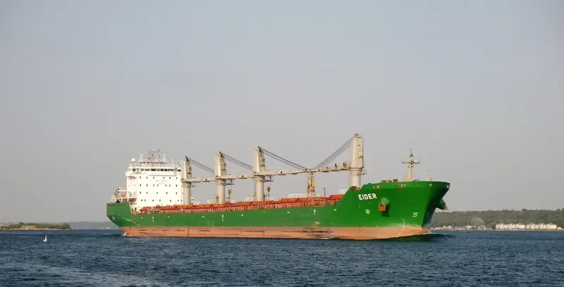 ISABELLE G Bulk Carrier IMO 9285938 photo 3