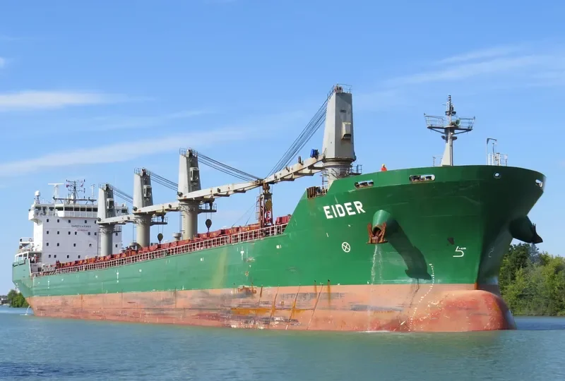 ISABELLE G Bulk Carrier IMO 9285938 photo 9