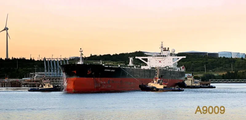 OCEAN HERMANA Tanker IMO 9286229 photo 2