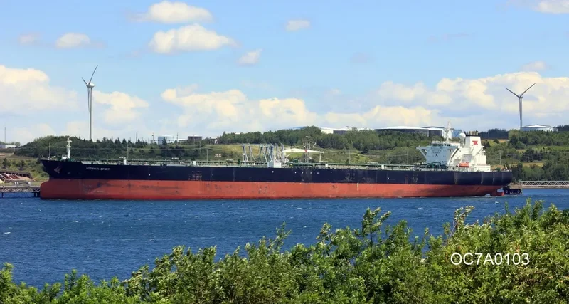 OCEAN HERMANA Tanker IMO 9286229 photo 3