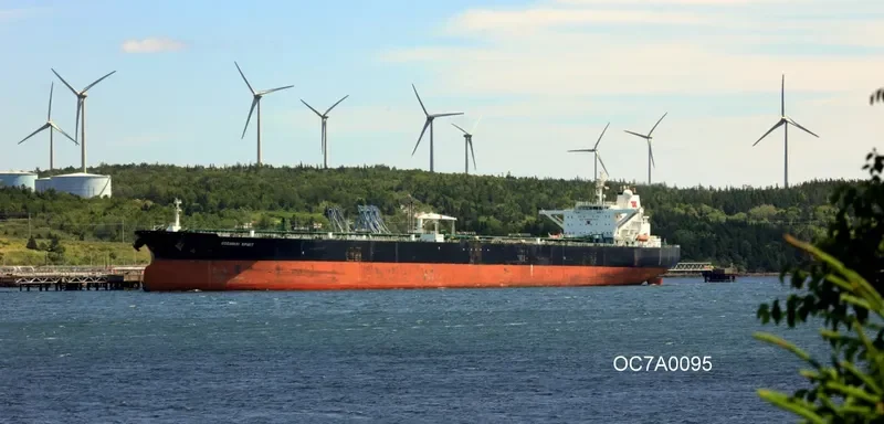 OCEAN HERMANA Tanker IMO 9286229 photo 4