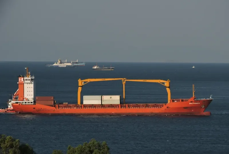 MSC HOGGAR Container Ship IMO 9286449 photo 3