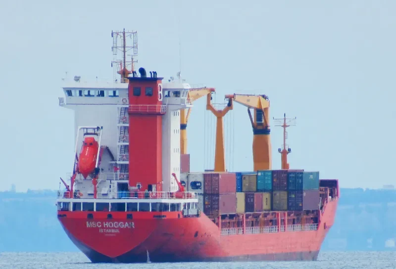 MSC HOGGAR Container Ship IMO 9286449 photo 4