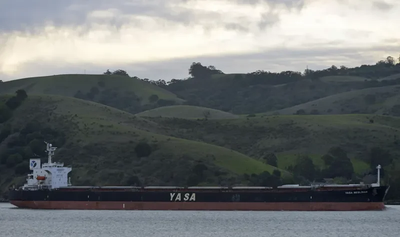 YASA NESLIHAN Bulk Carrier IMO 9286566 photo 2