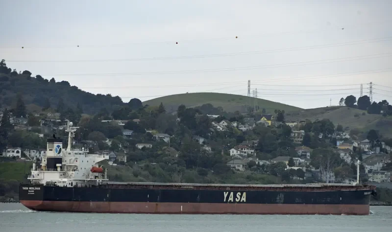 YASA NESLIHAN Bulk Carrier IMO 9286566 photo 3