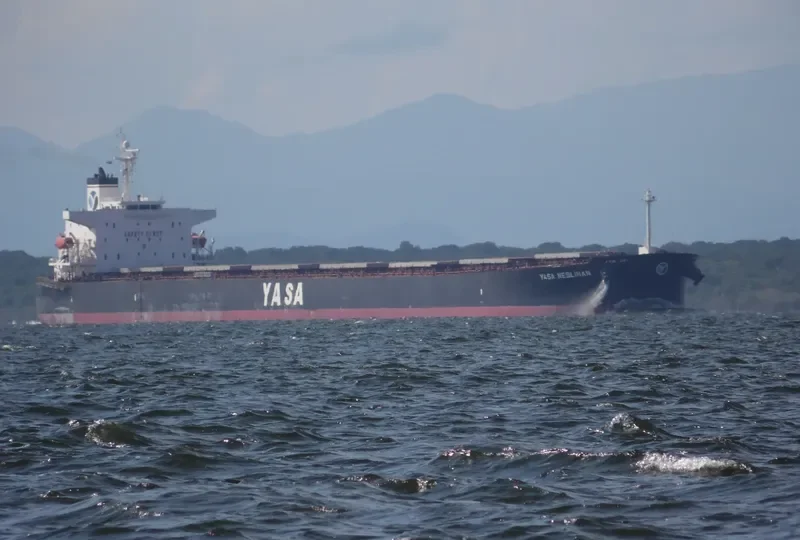 YASA NESLIHAN Bulk Carrier IMO 9286566 photo 7