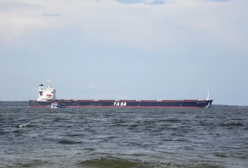 YASA NESLIHAN Bulk Carrier IMO 9286566 photo 8